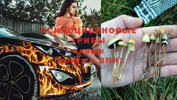 амф Балашиха
