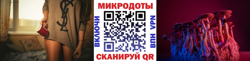 Псилоцибиновые грибы Psilocybine cubensis  darknet телеграм  Элиста  купить наркотики цена 