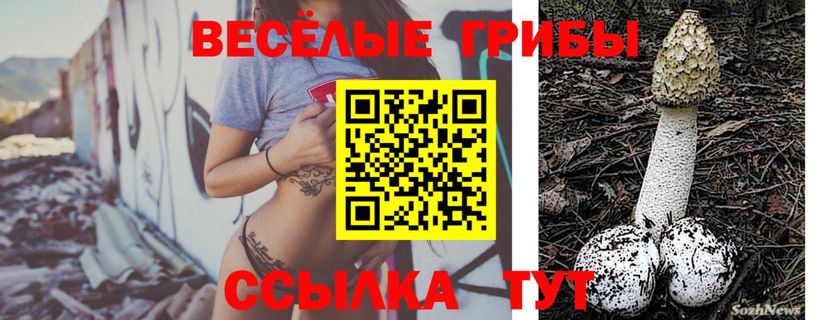 Псилоцибиновые грибы GOLDEN TEACHER  Галлюциногенные грибы мухоморы  Вход с VPN  купить  цена  Элиста 