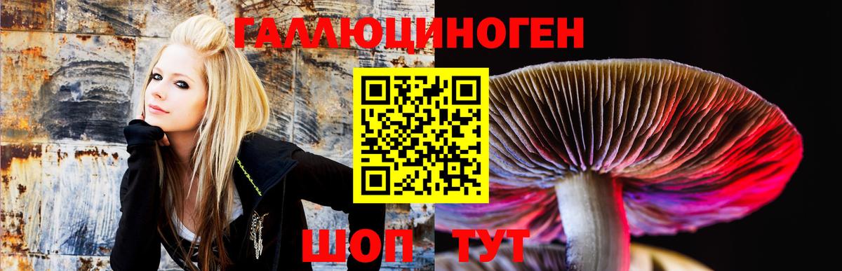 Галлюциногенные грибы Psilocybine cubensis Элиста